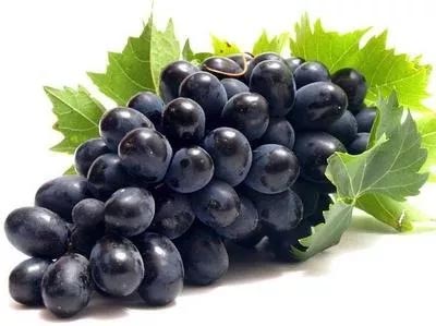 কালো আঙ্গুর ফল